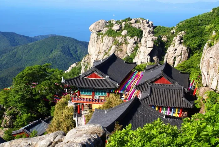 Câu chuyện hồng sâm