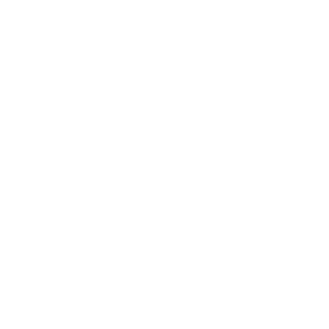 atom icon