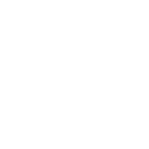 mission icon