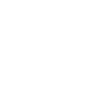 vision icon